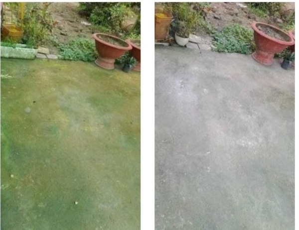 Sử dụng máy chà sàn để làm sạch rêu ở trên sàn bê tông